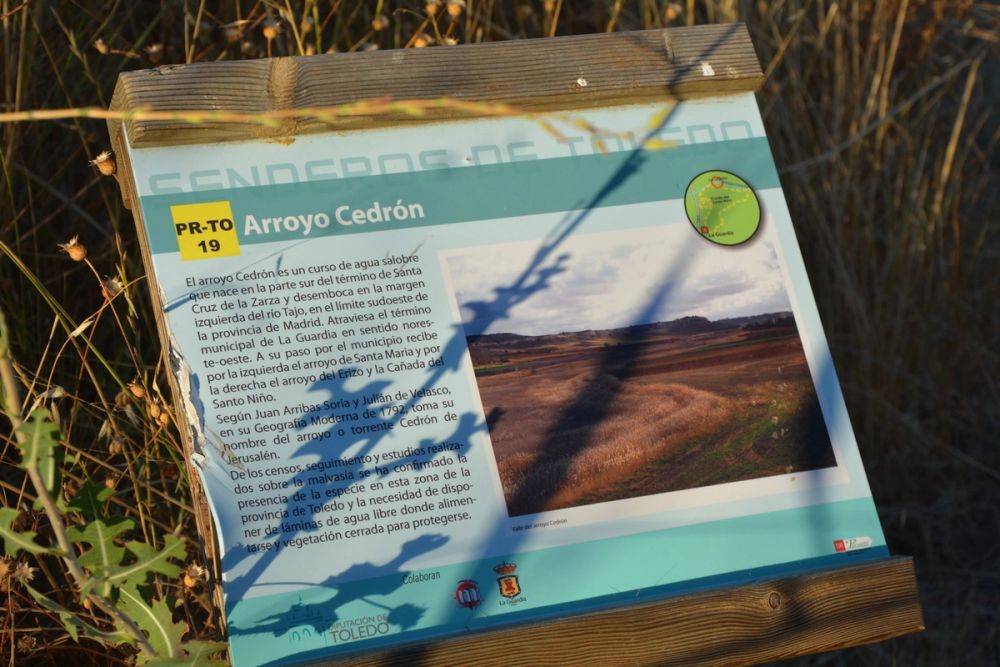 Lagunas de la guardia y Ermita del Santo Niño (La guardia) 2020
