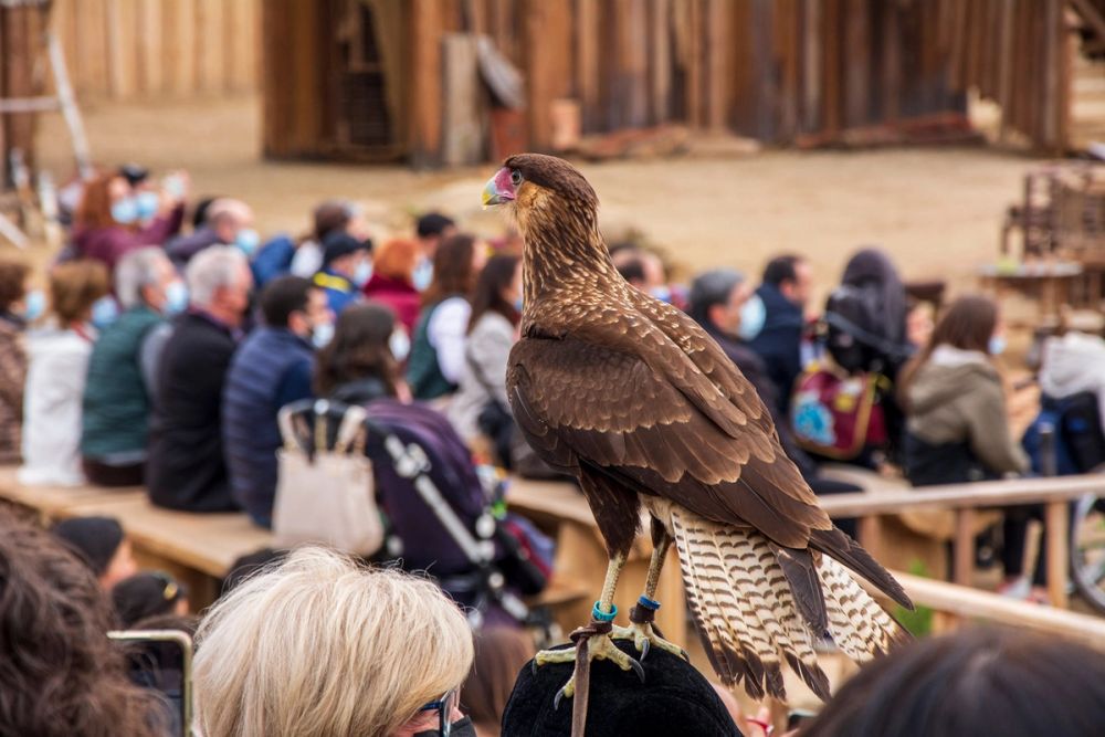Puy Du Fou 19-03-2022