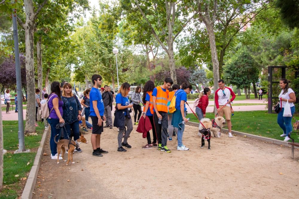 IV Ruta canina en Leganes 22-09-2019