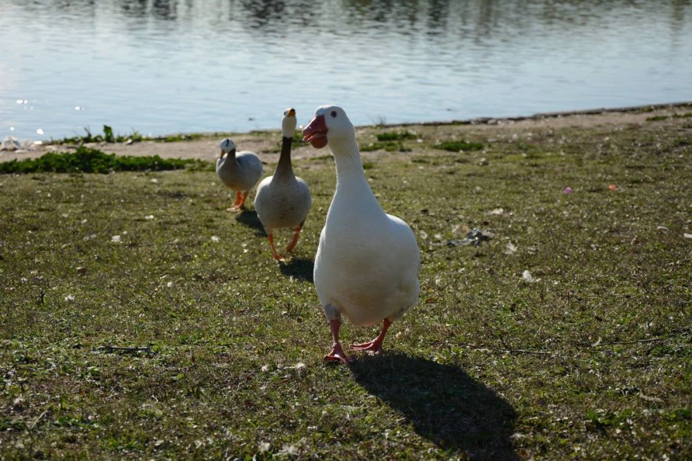 Parque Polvoranca (Leganes) 18-03-2017