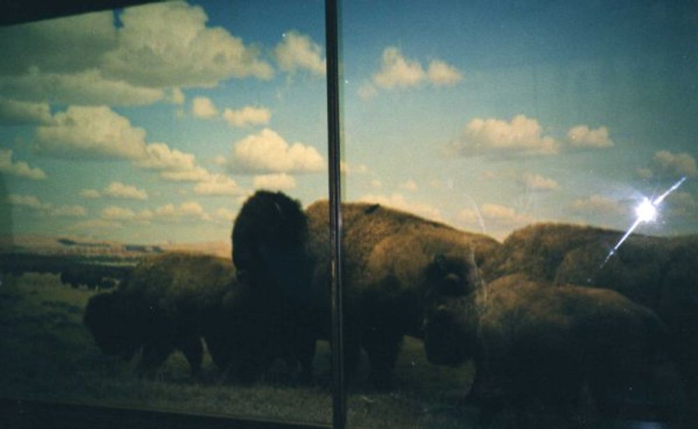 New York 2003