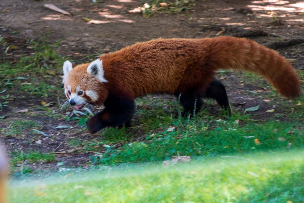 Zoo 17-08-2024