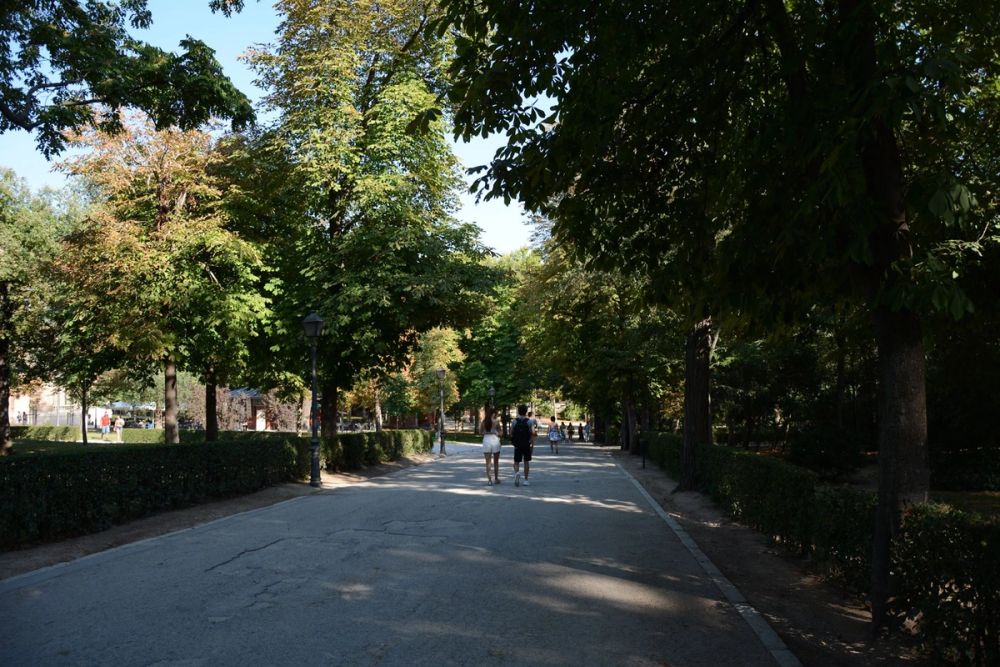 Parque del Retiro (Madrid) 18-08-2017