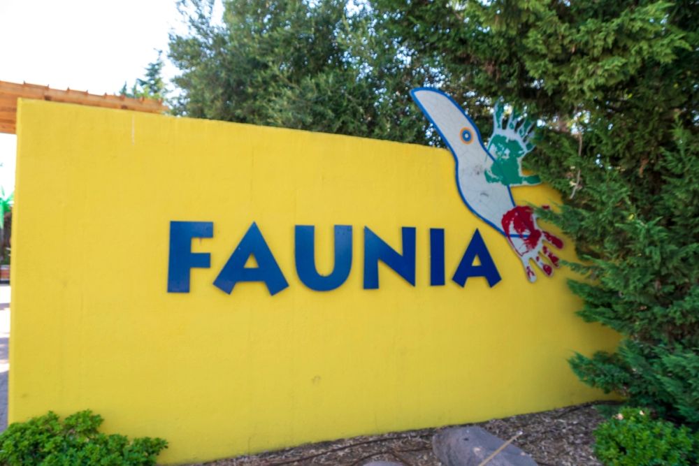 Faunia 03-08-2024