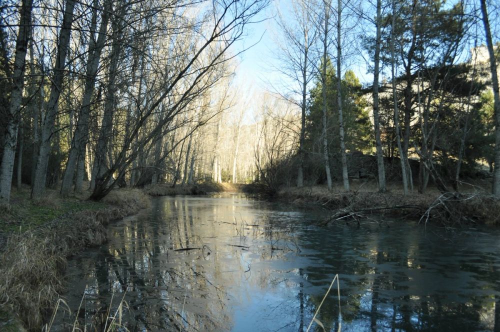 Rio lobos (Burgos/Soria) 2012