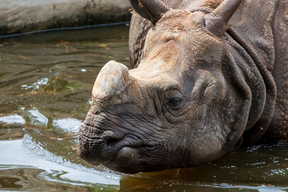 Zoo 17-08-2024