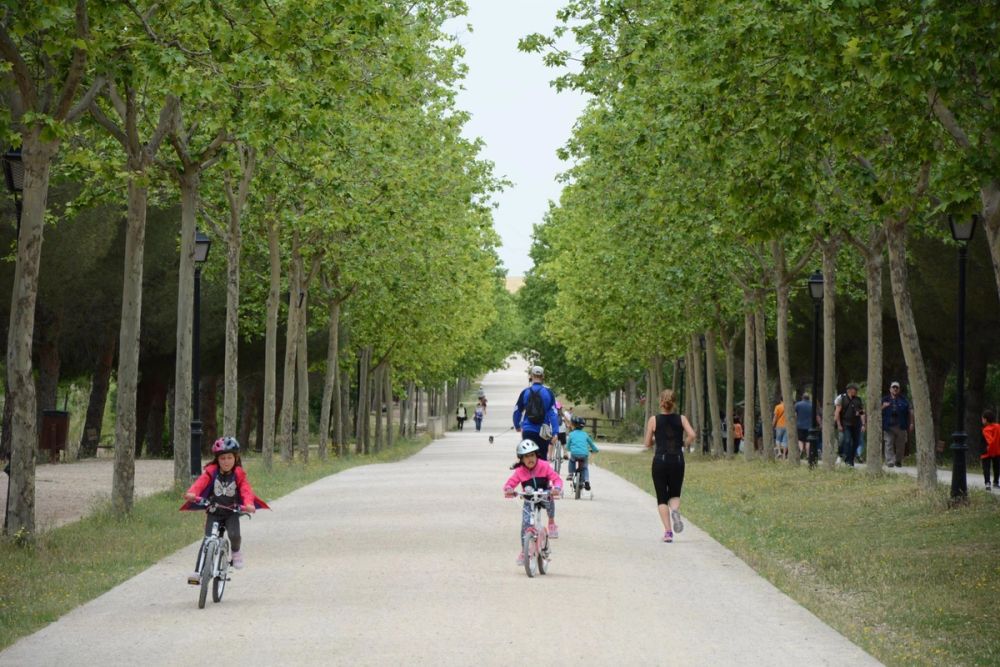 Parque polvoranca (Leganes) 10-06-2019
