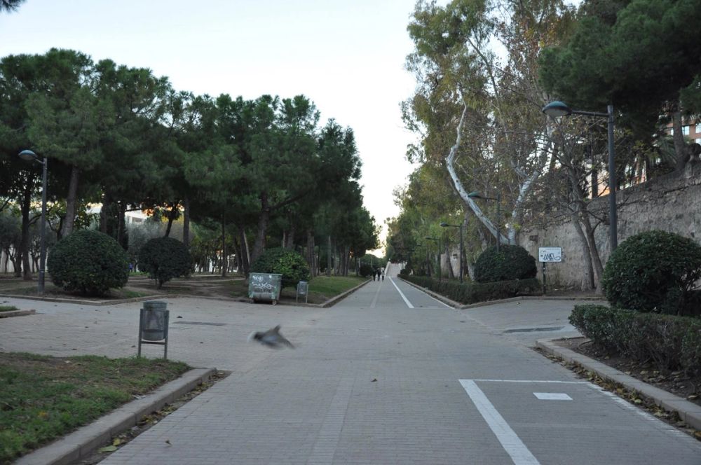 Valencia 16-12-2014