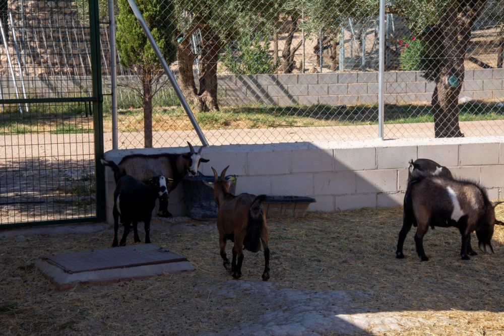Zoo de Lillo 03-09-2022