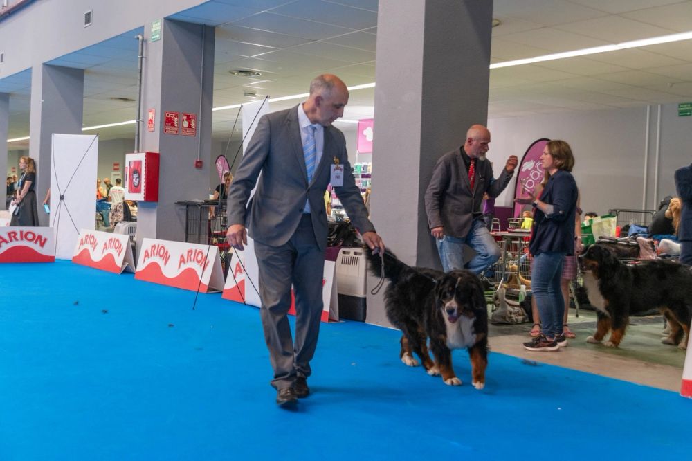Exposicion canina (ciudad real) 01-06-2024