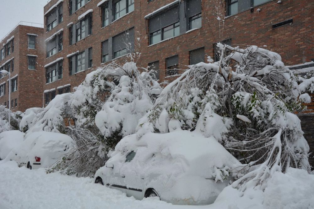 Leganes Nevado 2021 Dia 1