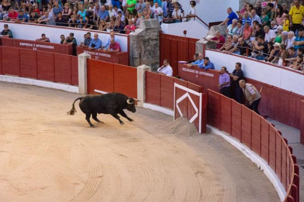 Toros en Colmenar Viejo 22-08-2019