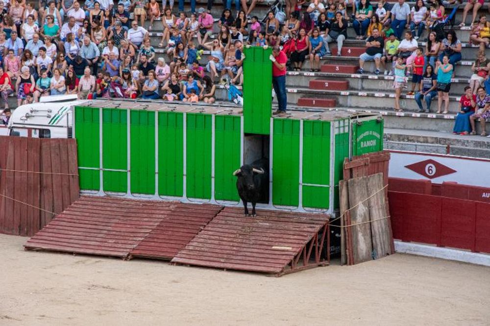 Toros en Colmenar Viejo 22-08-2019