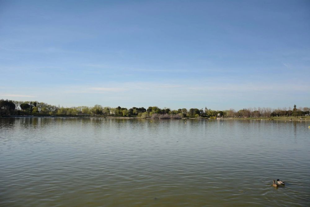 Parque Polvoranca (Leganes) 18-03-2017
