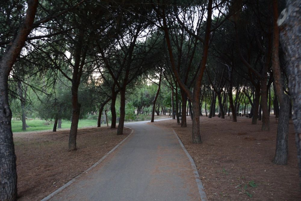 Parque Polvoranca (Leganes) 20-08-2017