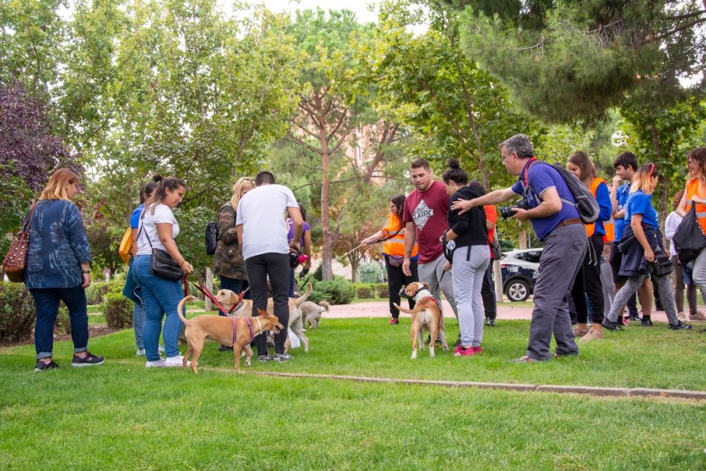 IV Ruta canina en Leganes 22-09-2019