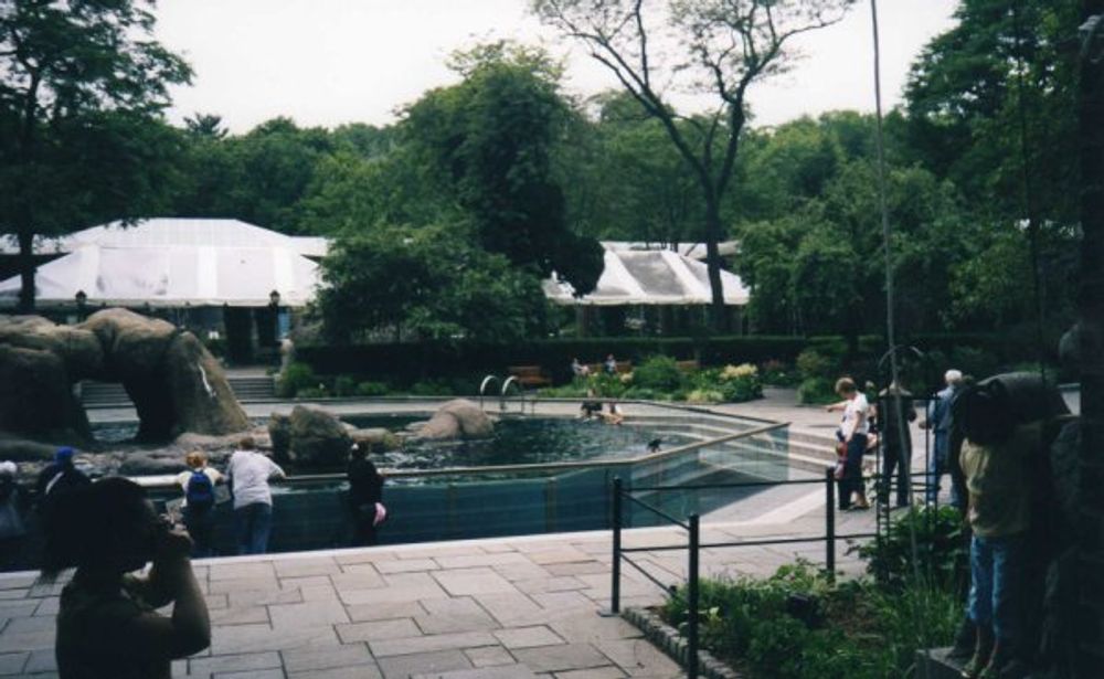 New York 2003