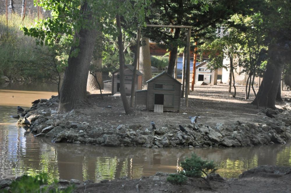 Aranda del duero 2014