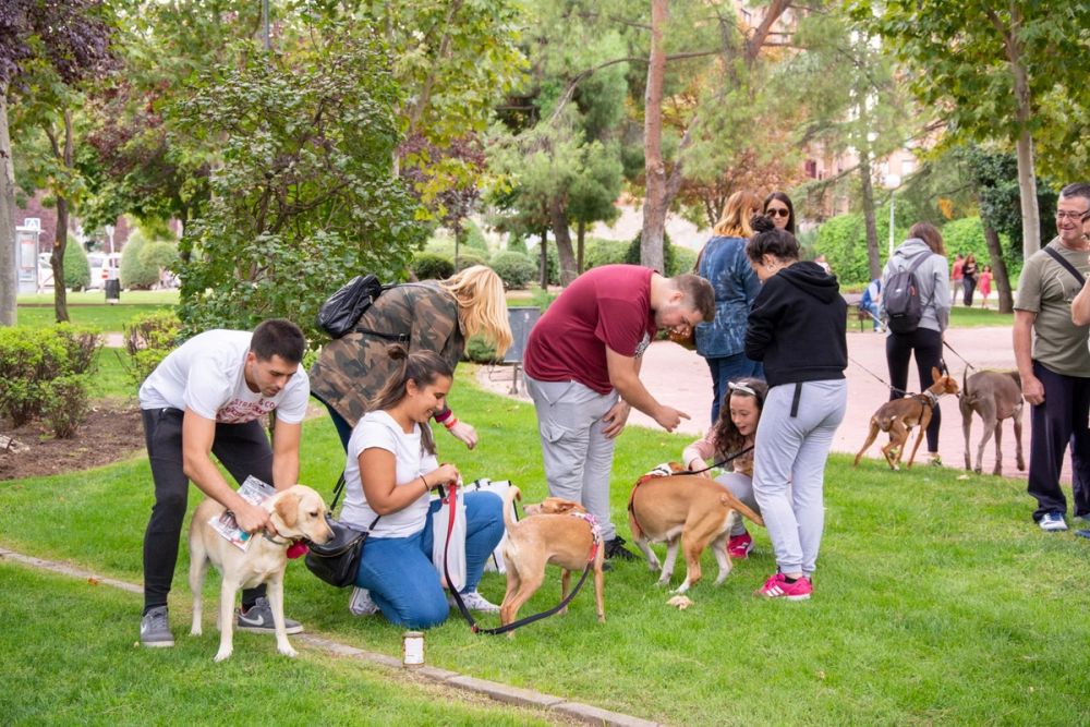 IV Ruta canina en Leganes 22-09-2019