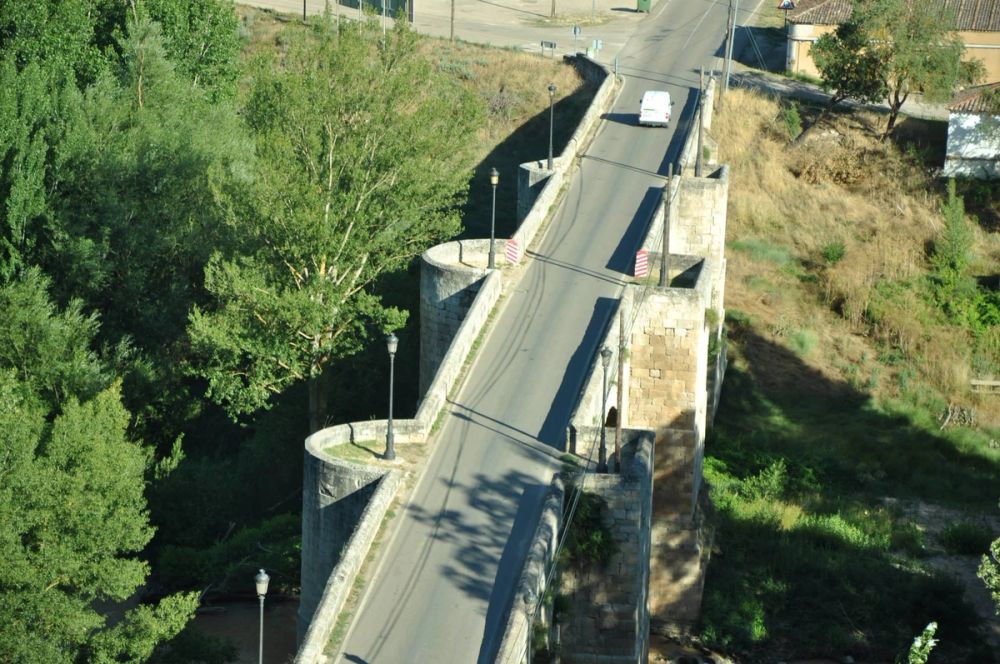 Roa del duero 2014