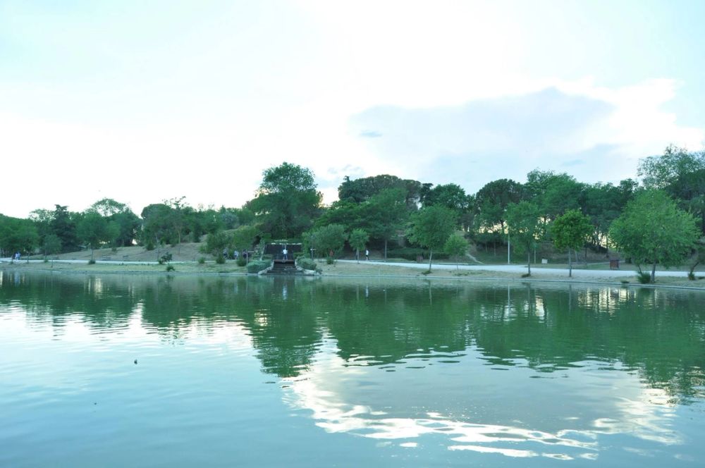 parque polvoranca (Leganes) 28-05-2015