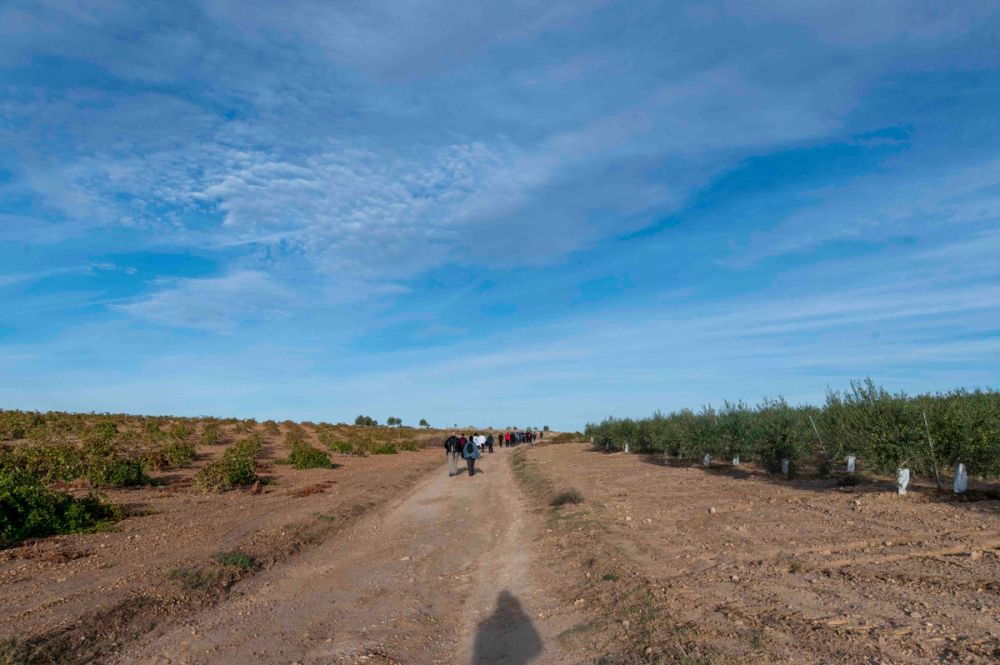 Ruta de senderismo por la sierra de Lillo 10-10-2026