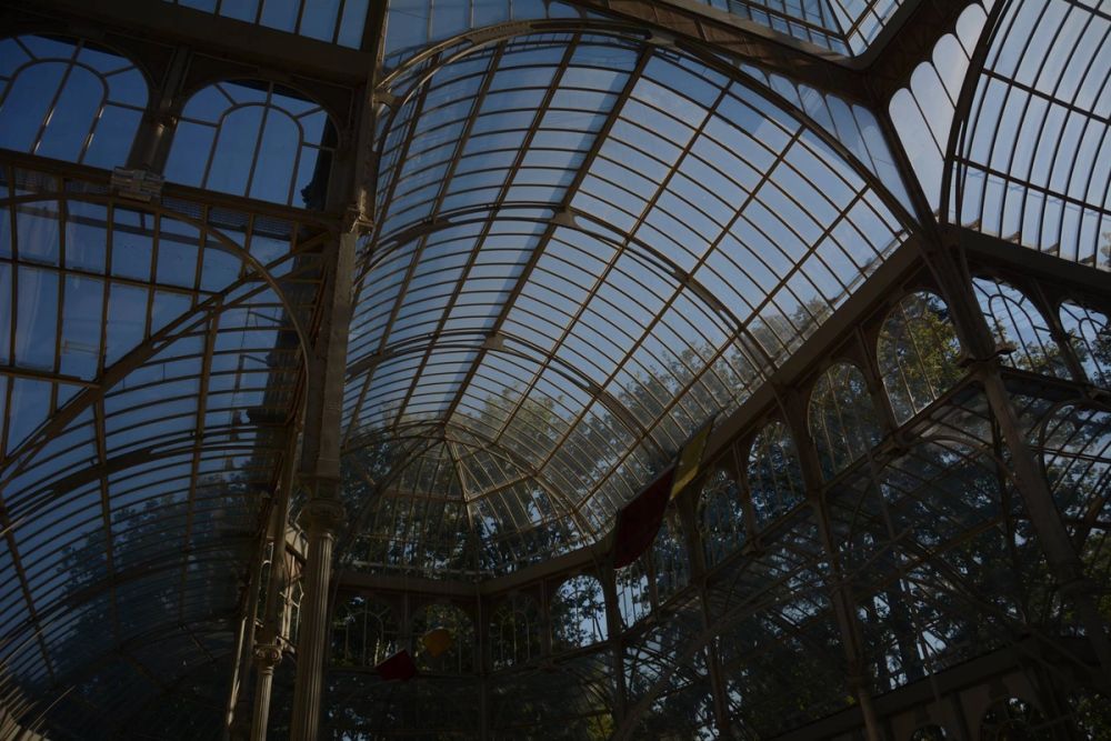 Parque del Retiro (Madrid) 18-08-2017