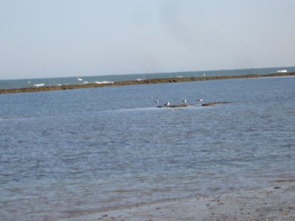 chipiona 2008