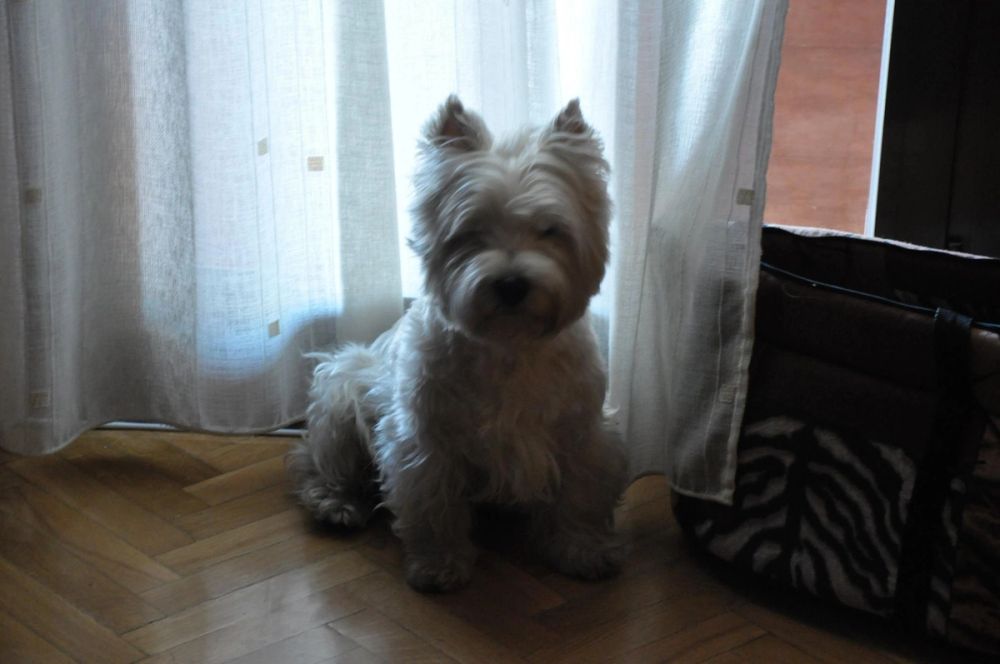 Luckky