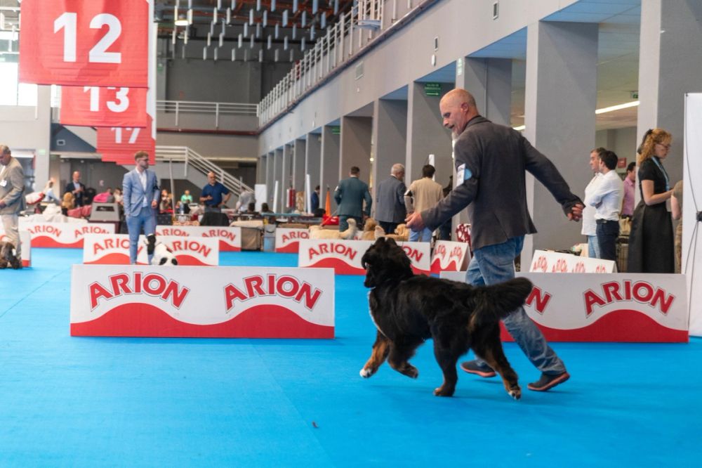 Exposicion canina (ciudad real) 01-06-2024