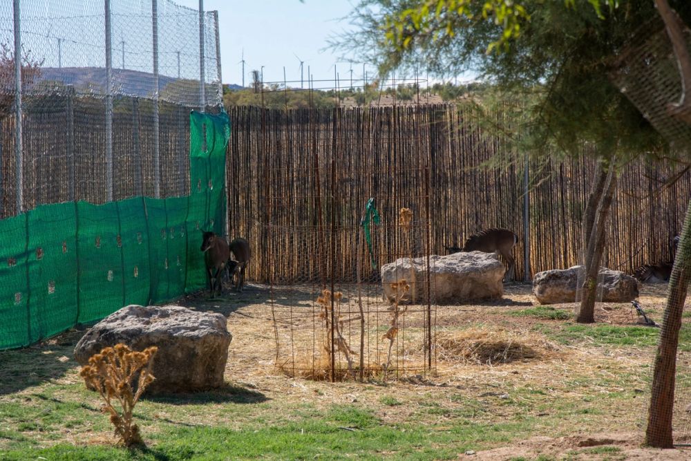 Zoo de Lillo 03-09-2022