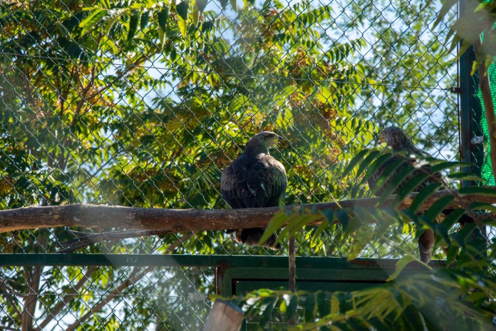 Zoo de Lillo 03-09-2022