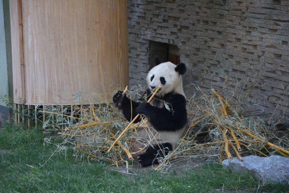 zoo 07-07-2018