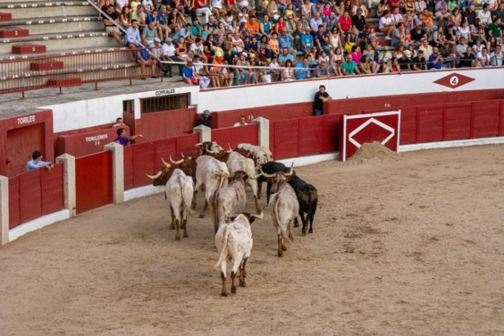 Toros en Colmenar Viejo 22-08-2019