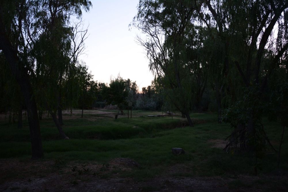 Parque Polvoranca (Leganes) 20-08-2017