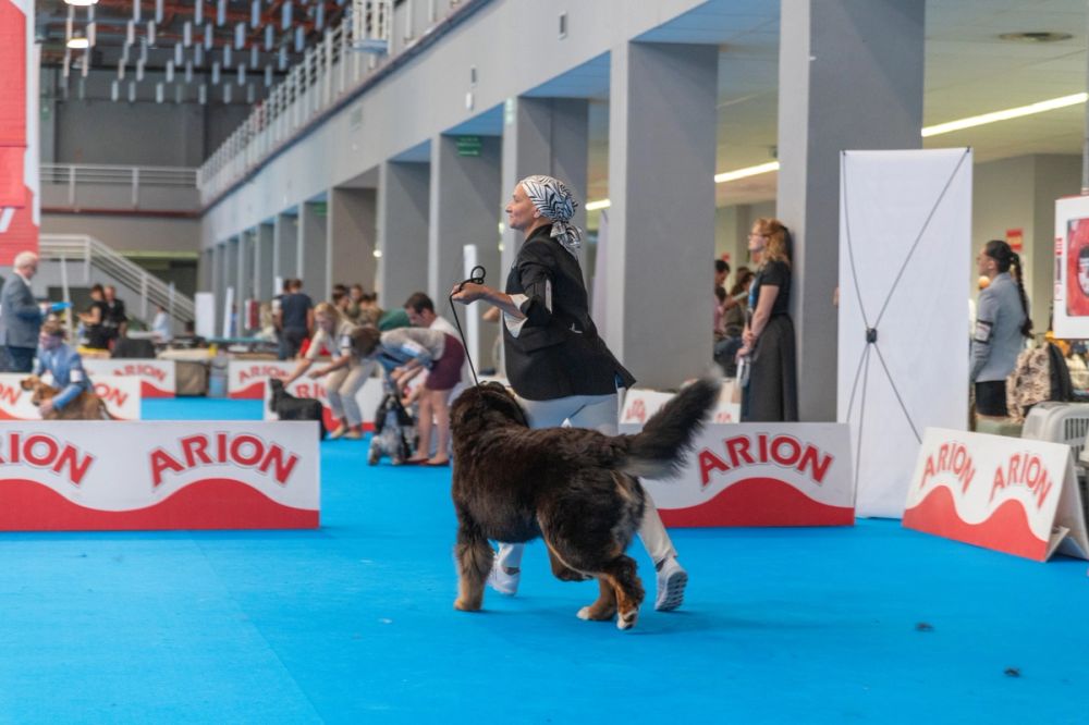 Exposicion canina (ciudad real) 01-06-2024
