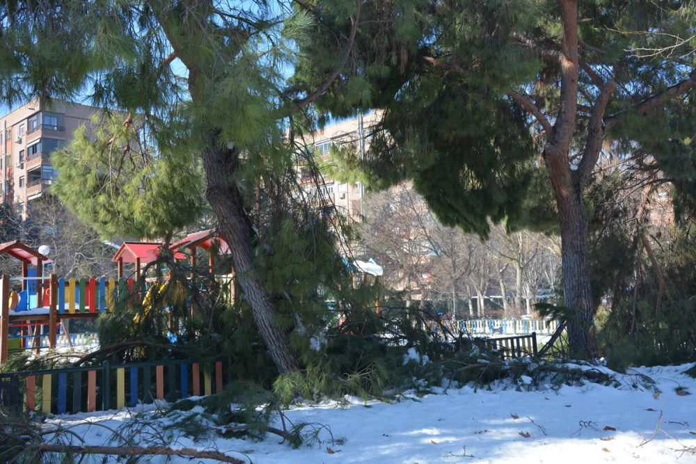 Leganes Nevado 2021 Dia 4