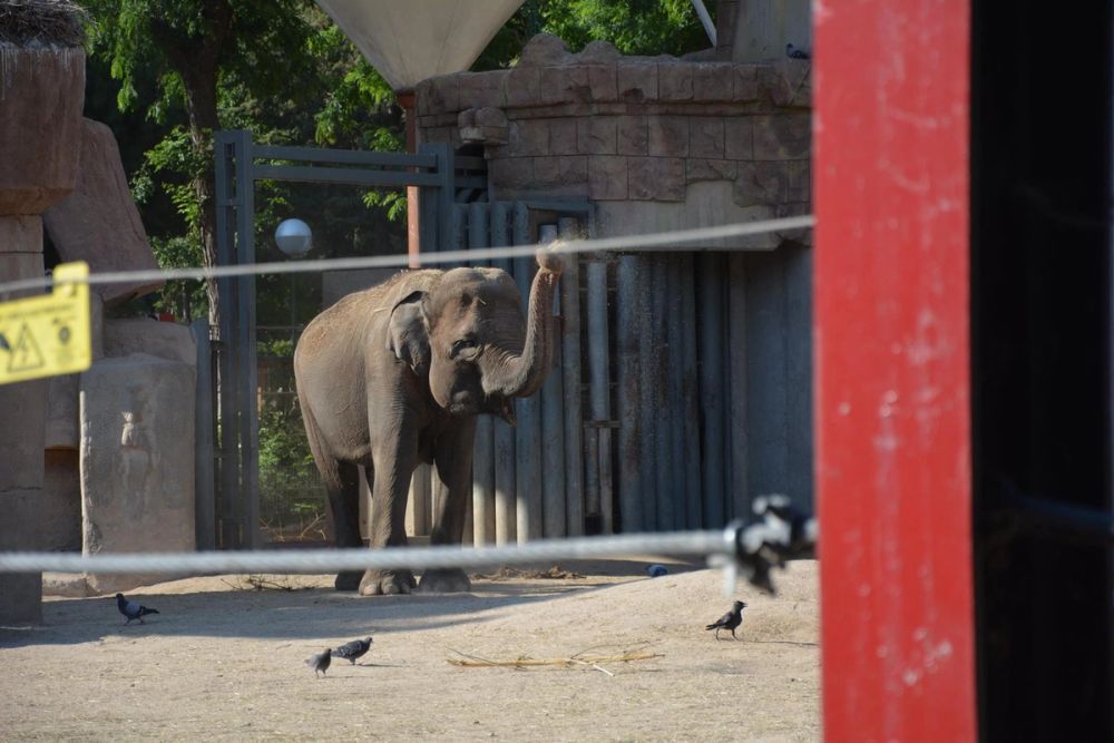 zoo 07-07-2018