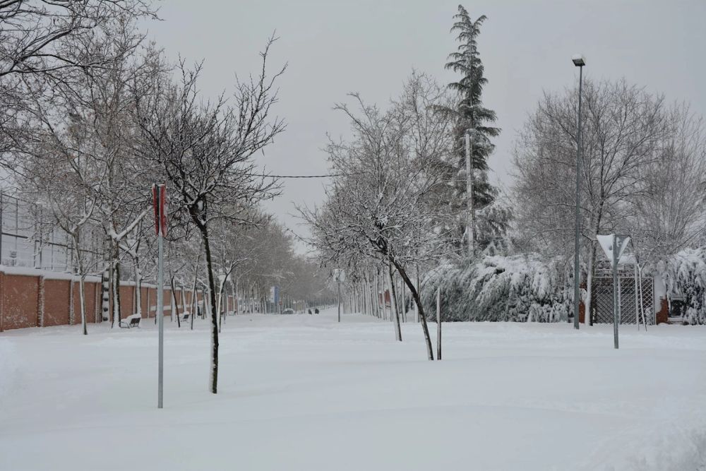 Leganes Nevado 2021 Dia 1