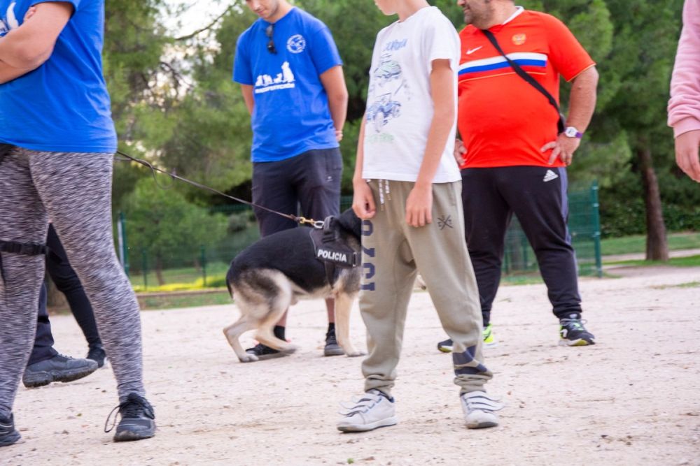 Formacion de perro policia 22-09-2019