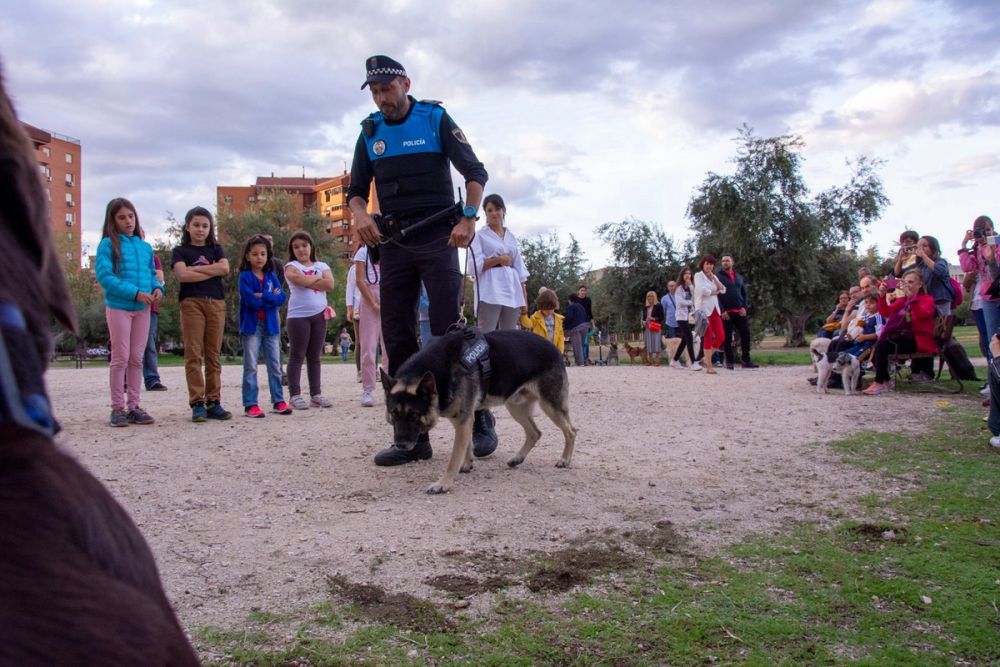 Formacion de perro policia 22-09-2019