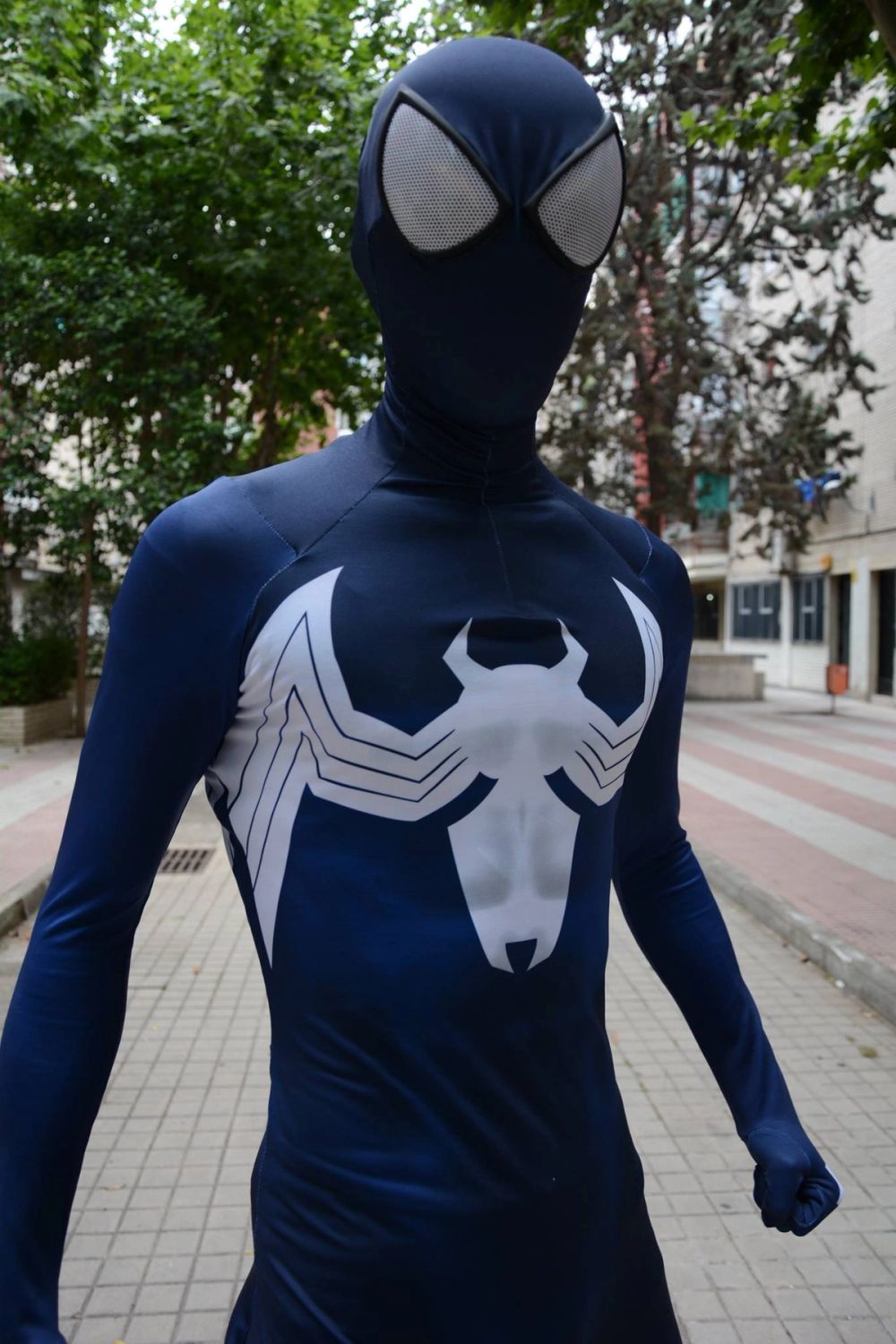 Spiderman black Blue Prnze 2017
