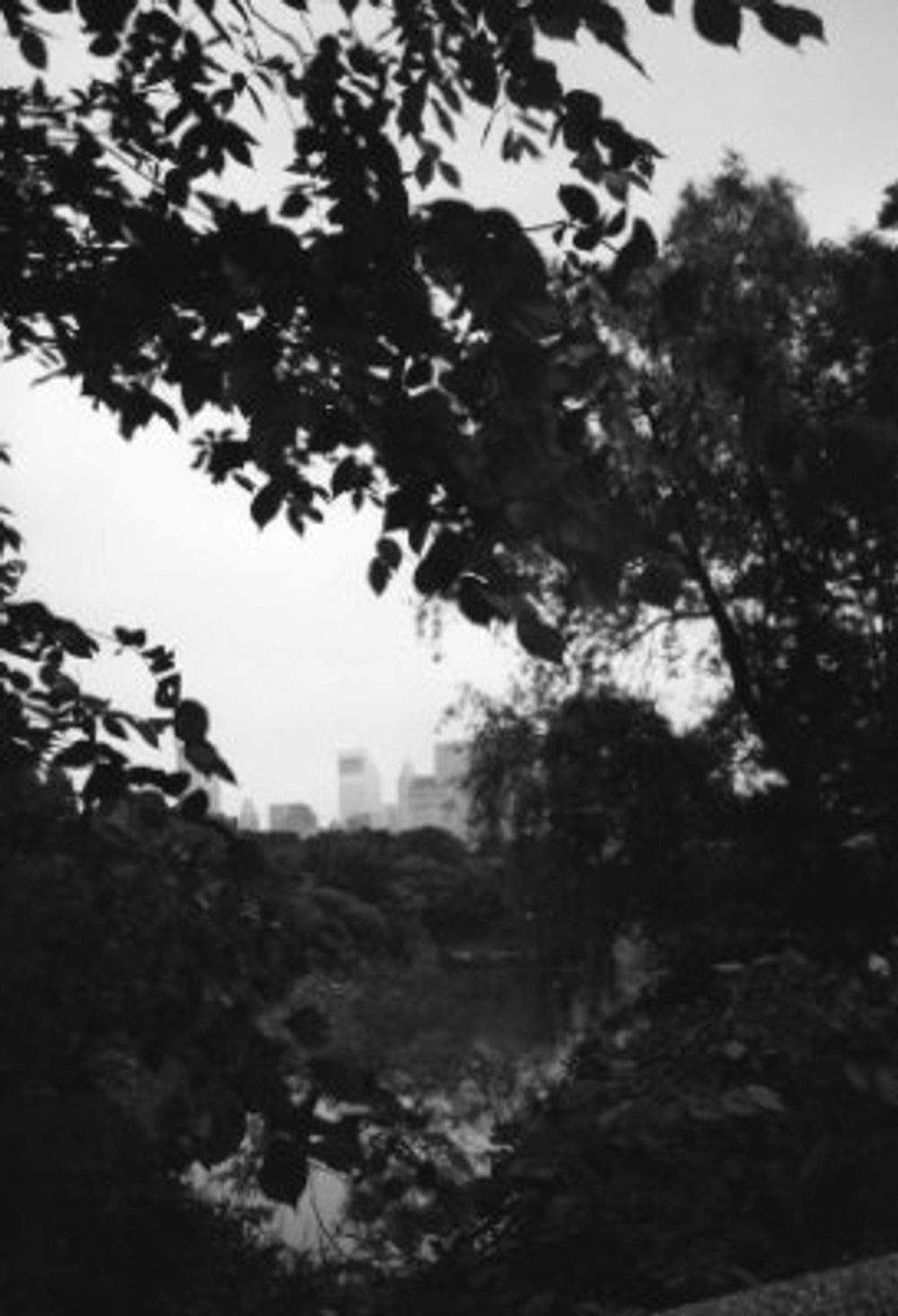 New York 2003