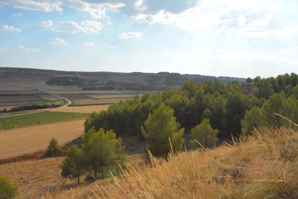 Cuevas del valle de Lillo 2020