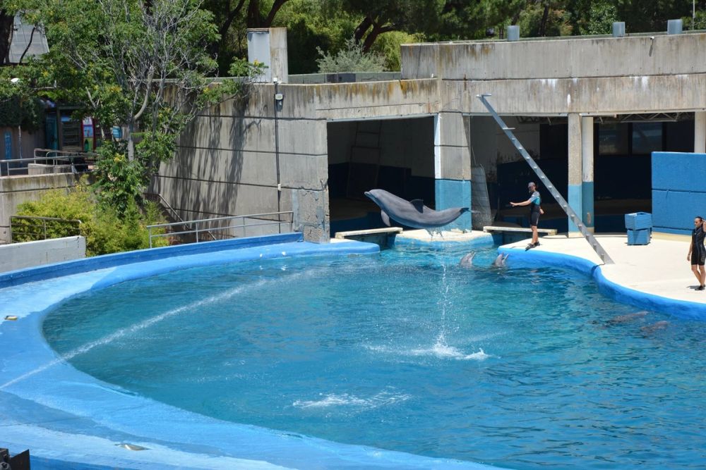 zoo 07-07-2018
