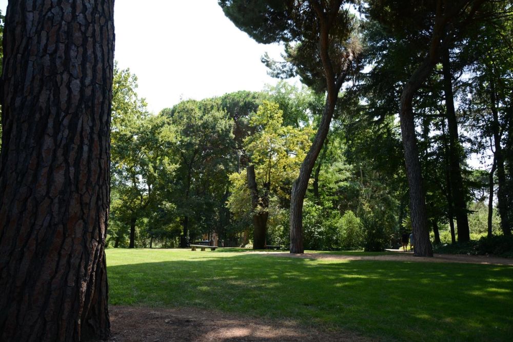 Parque de El capricho (Madrid) 2018