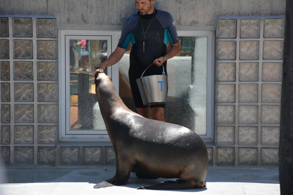 zoo 07-07-2018