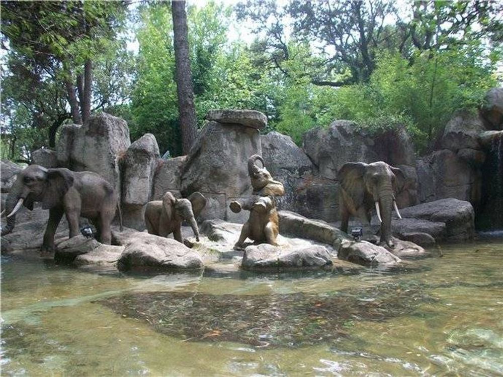 Parque de atracciones de madrid 2011