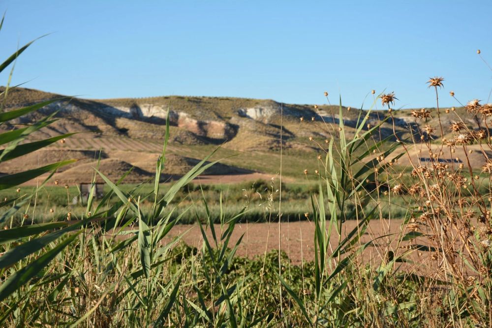 Lagunas de la guardia y Ermita del Santo Niño (La guardia) 2020