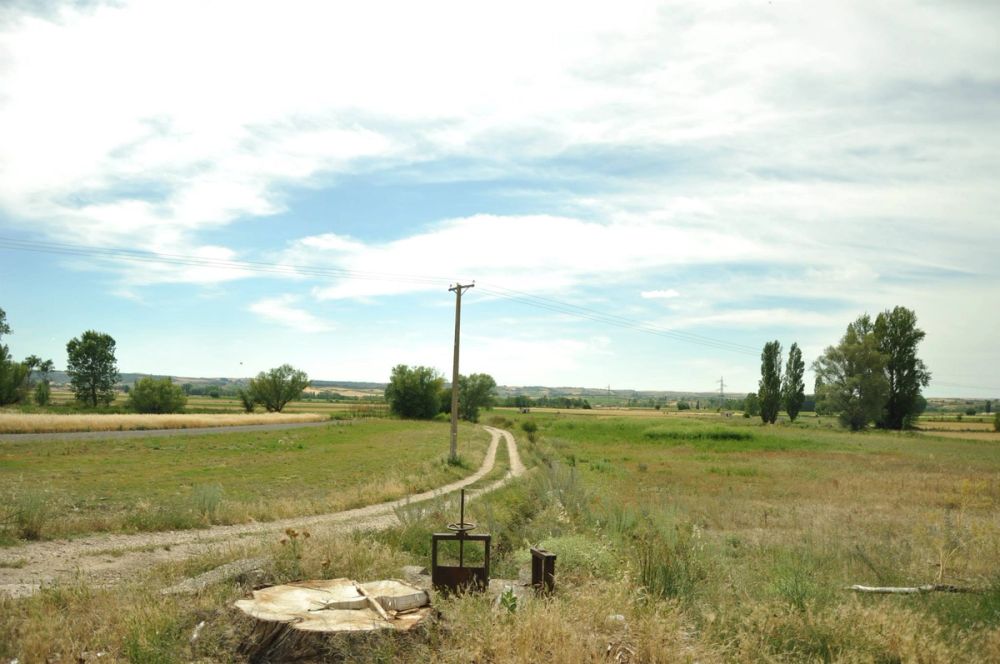 Roa del duero 2014